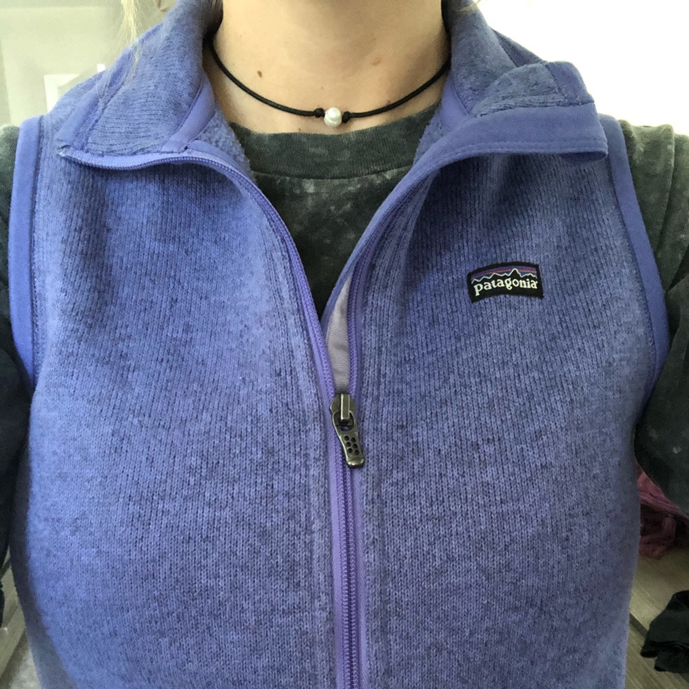 Patagonia Purple Better Sweater Vest
